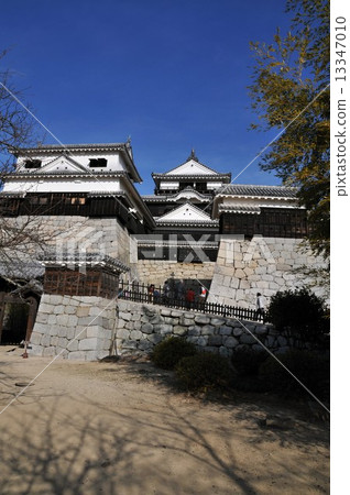 Matsuyama Castle Matsuyama Castle 13347010