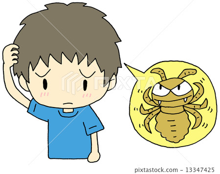 Lice and a boy 13347425