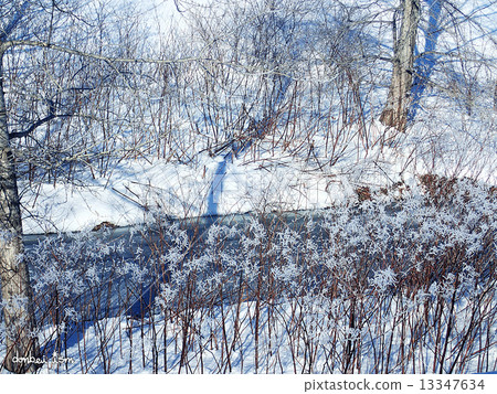  有霧的冰 13347634