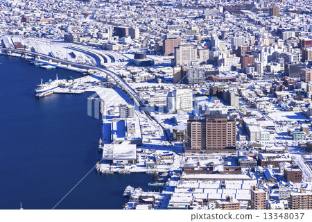 函館市的雪景從函館山在冬天 13348037