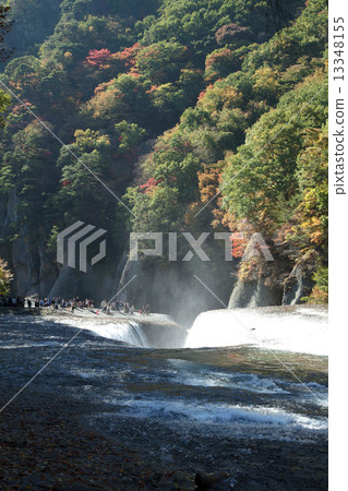 Fubuza秋天秋天群馬群島 13348155