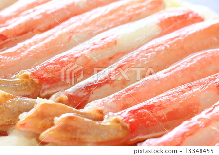 crab  13348455