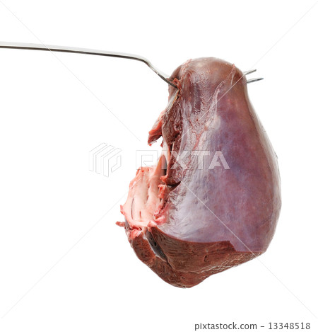 Large piece of meat on fork 13348518