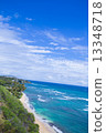 Hawaii beach vertical 13348718