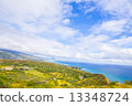 Forest and sea 13348724