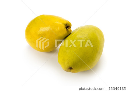 卡琳 13349185