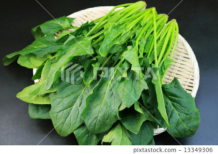 spinach  13349306
