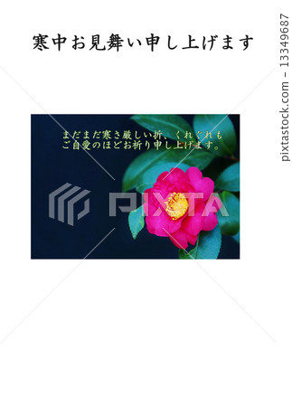 Cold underwear template · Flower of cold camellia which is a cross species of camellia and mountain flower Unicorn · horizontal writing black letters "In the cold we will give up" In cold weather in the picture Comment present Vertical position 13349687