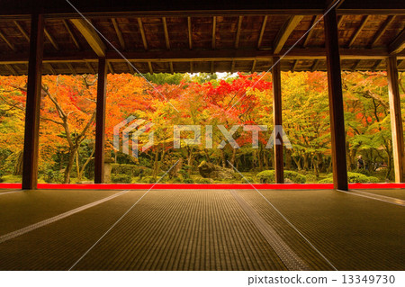 Kyokoji寺秋葉 13349730