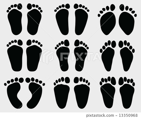 baby feet 13350968