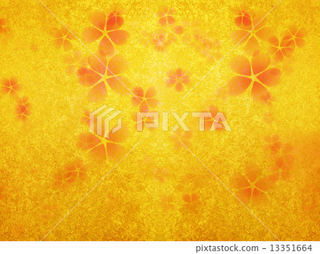 Spring 13351664