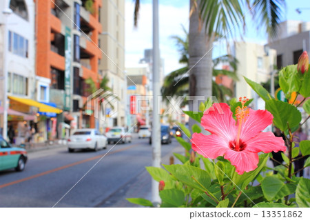 芙蓉和國際街 13351862