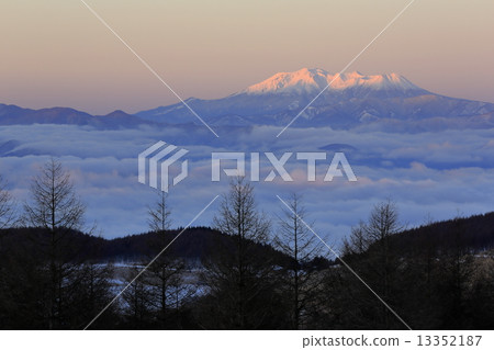 Mt. Ontake in the morning glow 13352187