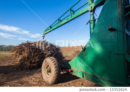 Farming Crop Loader 13352624