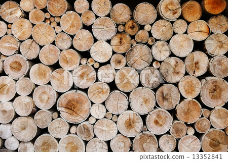 wood logs for industry 13352841