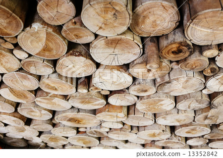 wood logs for industry 13352842
