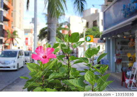 芙蓉和國際街 13353030