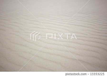 鳥取沙丘 13353225