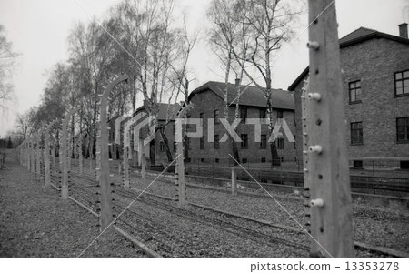 奧斯威辛 13353278