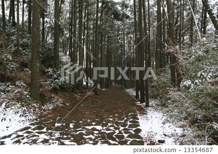 Hakone old road stone pavement Hakone old road stone pavement 13354687