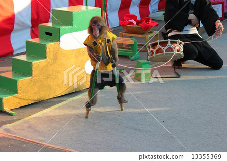 Monkey and stilts 13355369