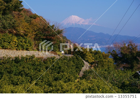 Mt. Fuji and oranges field Mt. Fuji and oranges field 13355751