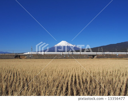 新幹線N 700系列列車 13356477