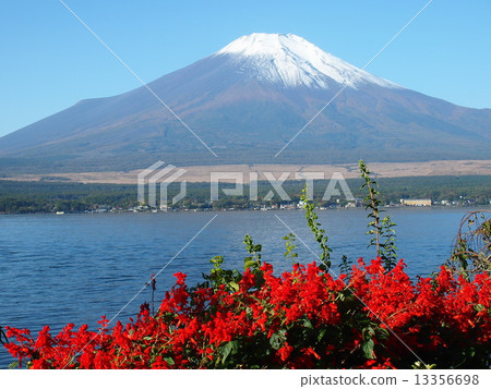 富士山和山中湖子 13356698