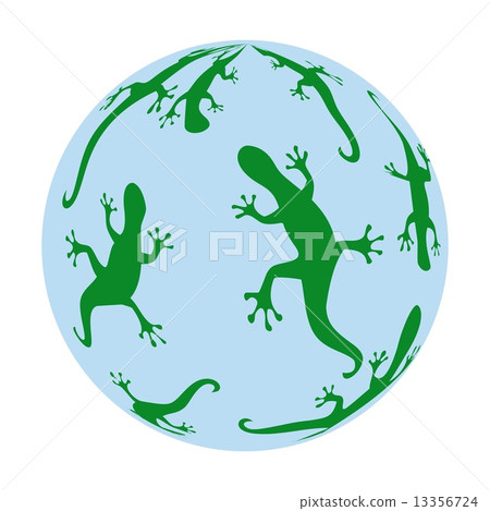 salamanders 13356724