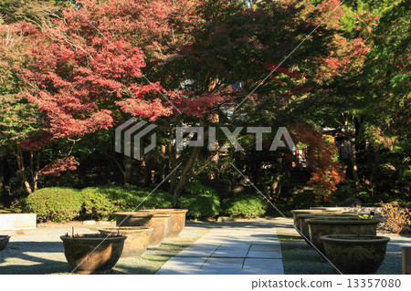 Autumn leaves of the garden temple Autumn leaves of the garden temple 13357080