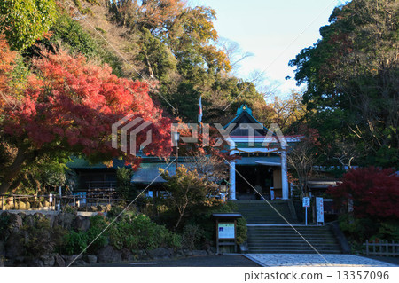 Autumn leaves of Kamakura Palace Autumn leaves of Kamakura Palace 13357096