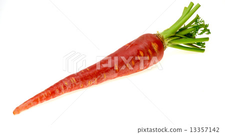 紅蘿蔔 紅蘿蔔 13357142