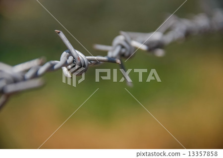 barbed fence with ground 13357858