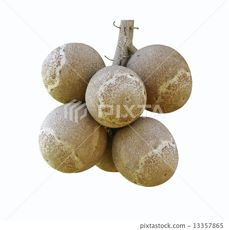 cannonball fruits 13357865