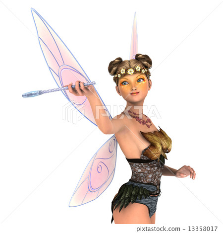 fairy fairy 13358017