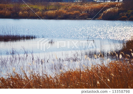 Deadly landscape 13358798