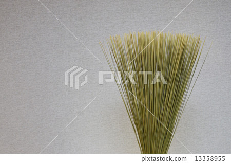 Grasshopper Grasshopper 13358955