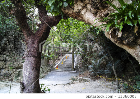 Cilmite神聖的精神 13360005