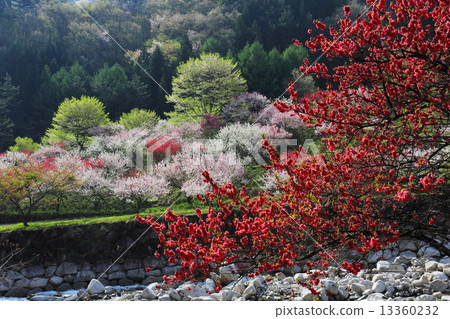 Tomohikari no Sato Tsukigawa Onsen 13360232