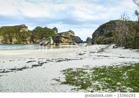 Strange rock stone of Hamahigajima 13360293