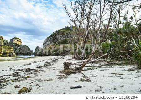 Strange rock stone of Hamahigajima 13360294