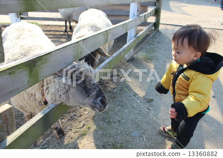 Animals and children Animals and children 13360882