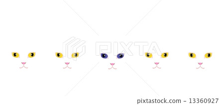White cat with yellow eyes and white cat with blue eyes 13360927