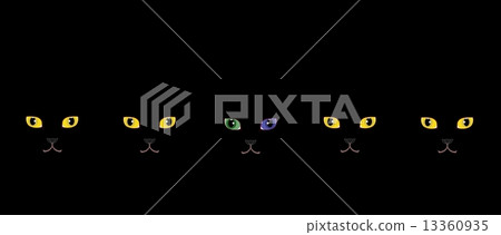 Black cat with yellow eyes and black cat on odd eye 13360935
