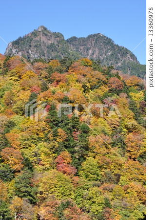 From the Nishizawa Valley of the autumn leaves Mt. 13360978