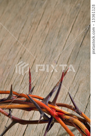 crown of thorns 13361128