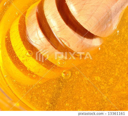 honey honey 13361161