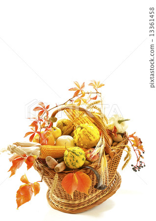 harvest basket 13361458