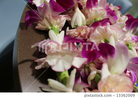 雷的項鍊 13362009