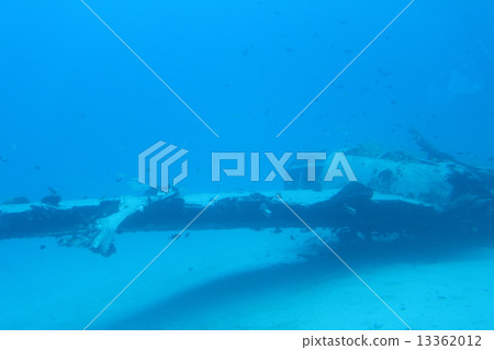 一架沉沒的飛機 一架沉沒的飛機 13362012